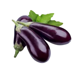eggplant