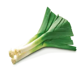 leek