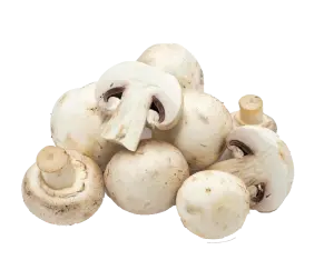 mushrooms